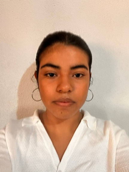 Brisa